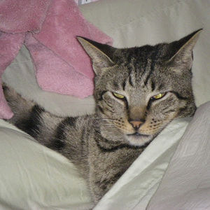 Meet your Posher, Cheryl